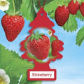 LITTLE TREES Strawberry car air freshener