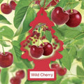 LITTLE TREES Wild Cherry car air freshener